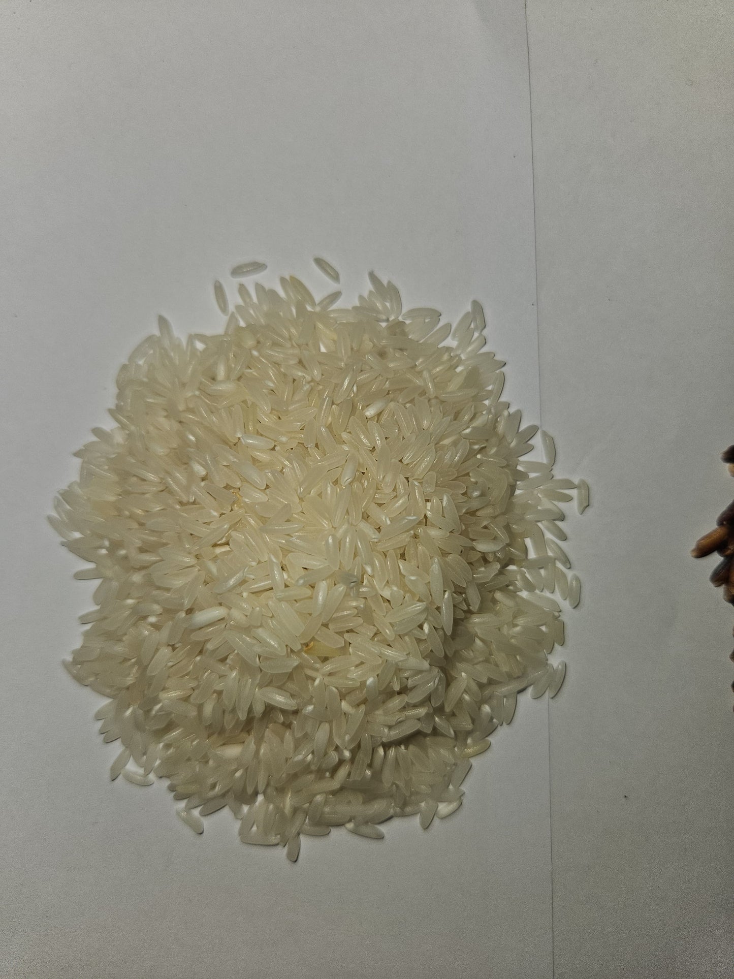 Farming Monk's Wada Kolam