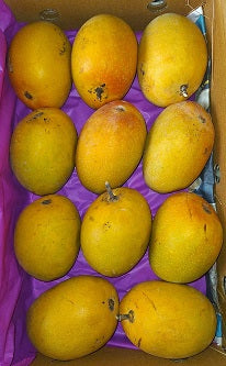 Mango-Alphanso (Devgad Hapus) 1 Box- Available for Pune Only