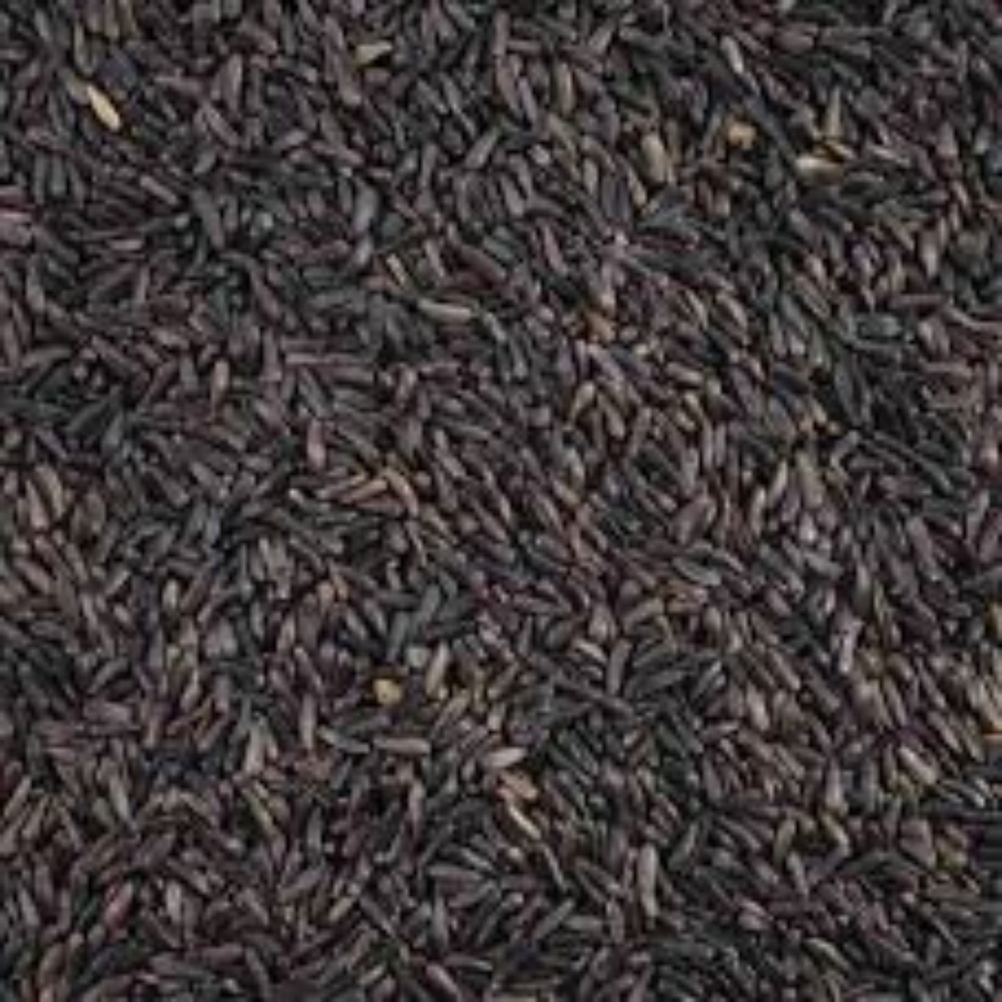 Niger Seeds (Karal)