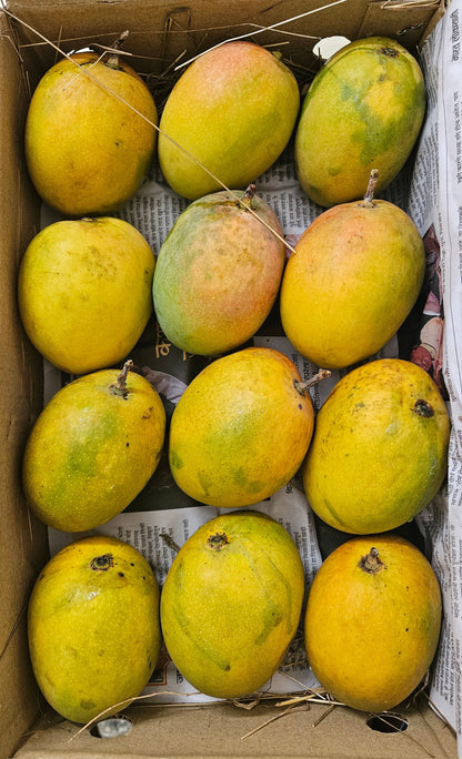 Payari 1 Box- Available for Pune Only