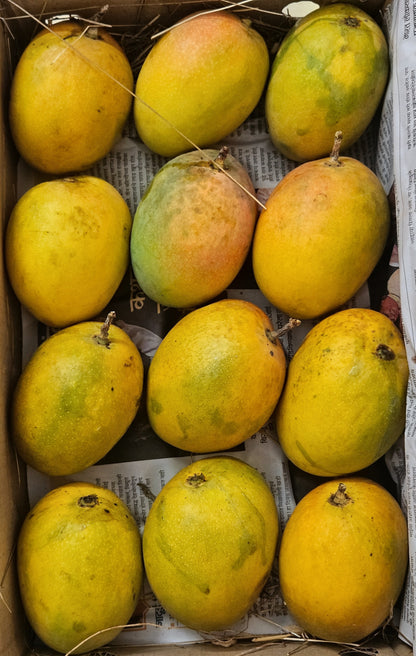 Payari 1 Box- Available for Pune Only