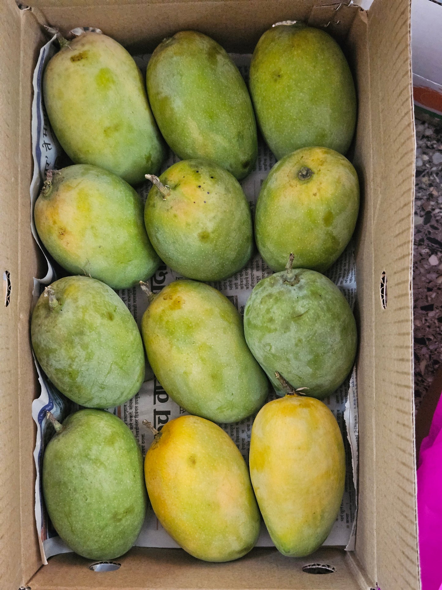 Kesar Mango 1 Kg- GI Tag – The Queen of Aroma and Richness from Gir, Gujarat