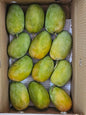Kesar Mango 1 Kg- GI Tag – The Queen of Aroma and Richness from Gir, Gujarat