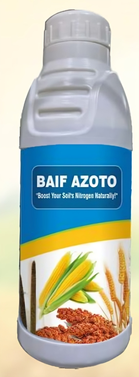 BAIF AZOTO (Azotobacter)