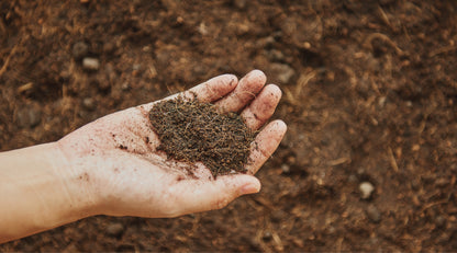 BAIF COMPOST Organic Manure held in a hand, showcasing premium quality organic soil.