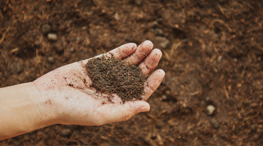 BAIF COMPOST Organic Manure held in a hand, showcasing premium quality organic soil.