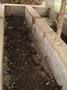 BAIF Vermicompost in a composting bed, showcasing rich, dark soil ideal for sustainable farming.