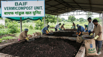 BAIF Vermicompost unit showing workers processing earthworm manure for sustainable farming.
