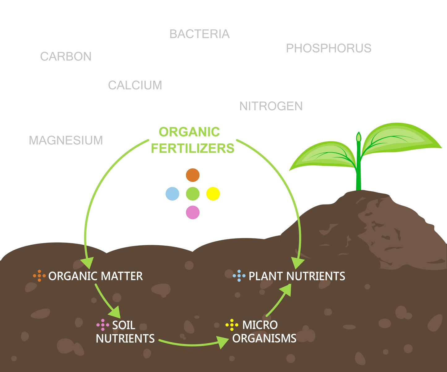 Illustration showing the cycle of organic fertilizers with nutrients and plant growth, emphasizing BAIF BIOPROM Phosphate Manure.