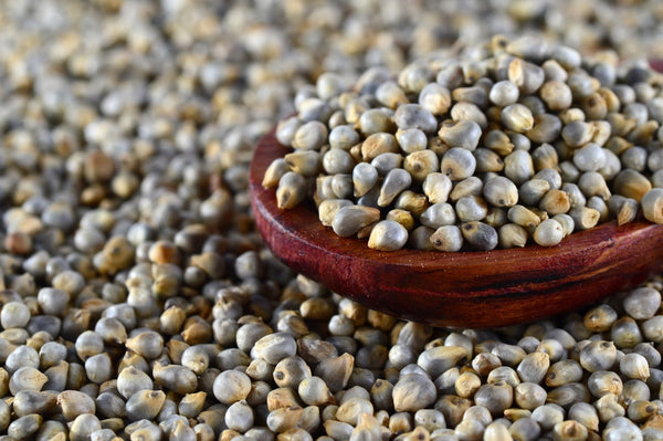 Bajra