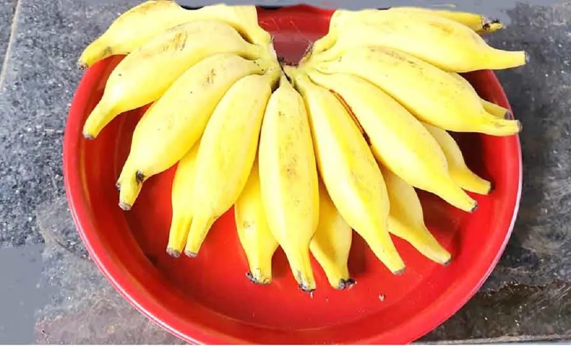 Banana Fruit