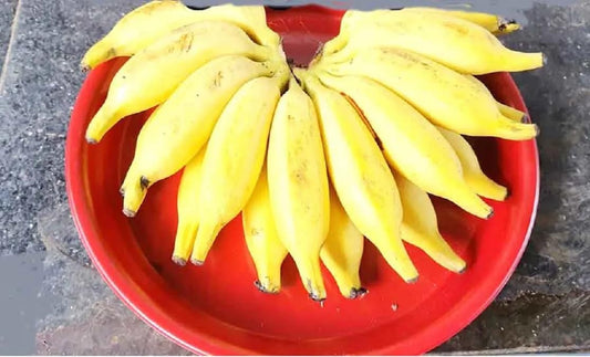 Banana Fruit