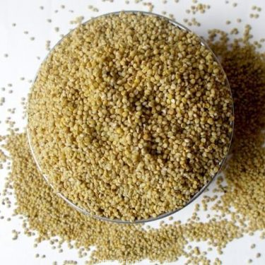 Browntop Millet (Urochloa ramosa) – gluten-free ancient grain rich in fiber, calcium, and antioxidants for healthy diet and weight management.