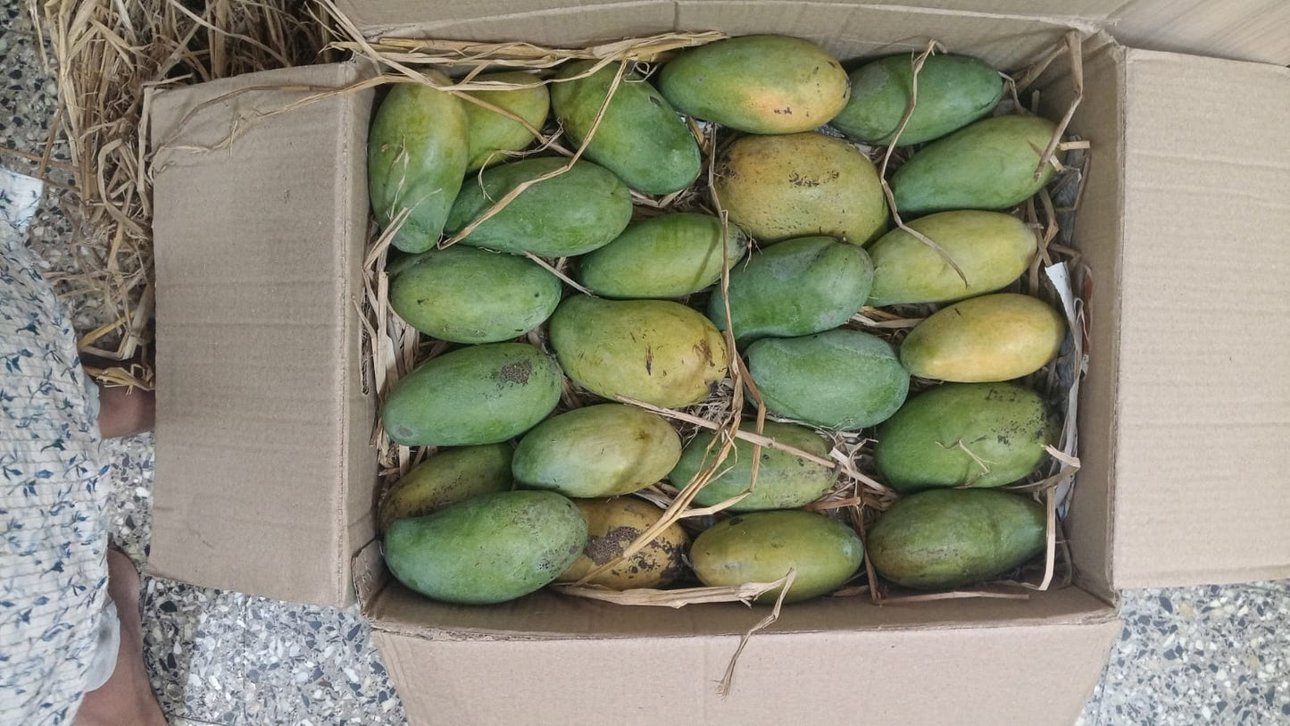 Mango-Amrapali ( Available for Pune Only)