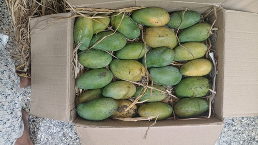 Mango-Amrapali ( Available for Pune Only)