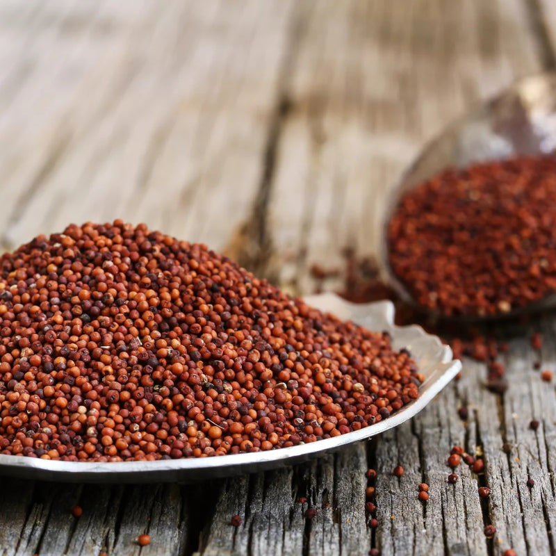 Finger Millet (Nachani/ Ragi)