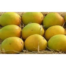 Mango-Alphanso (Devgad Hapus) 1 Box- Available for Pune Only